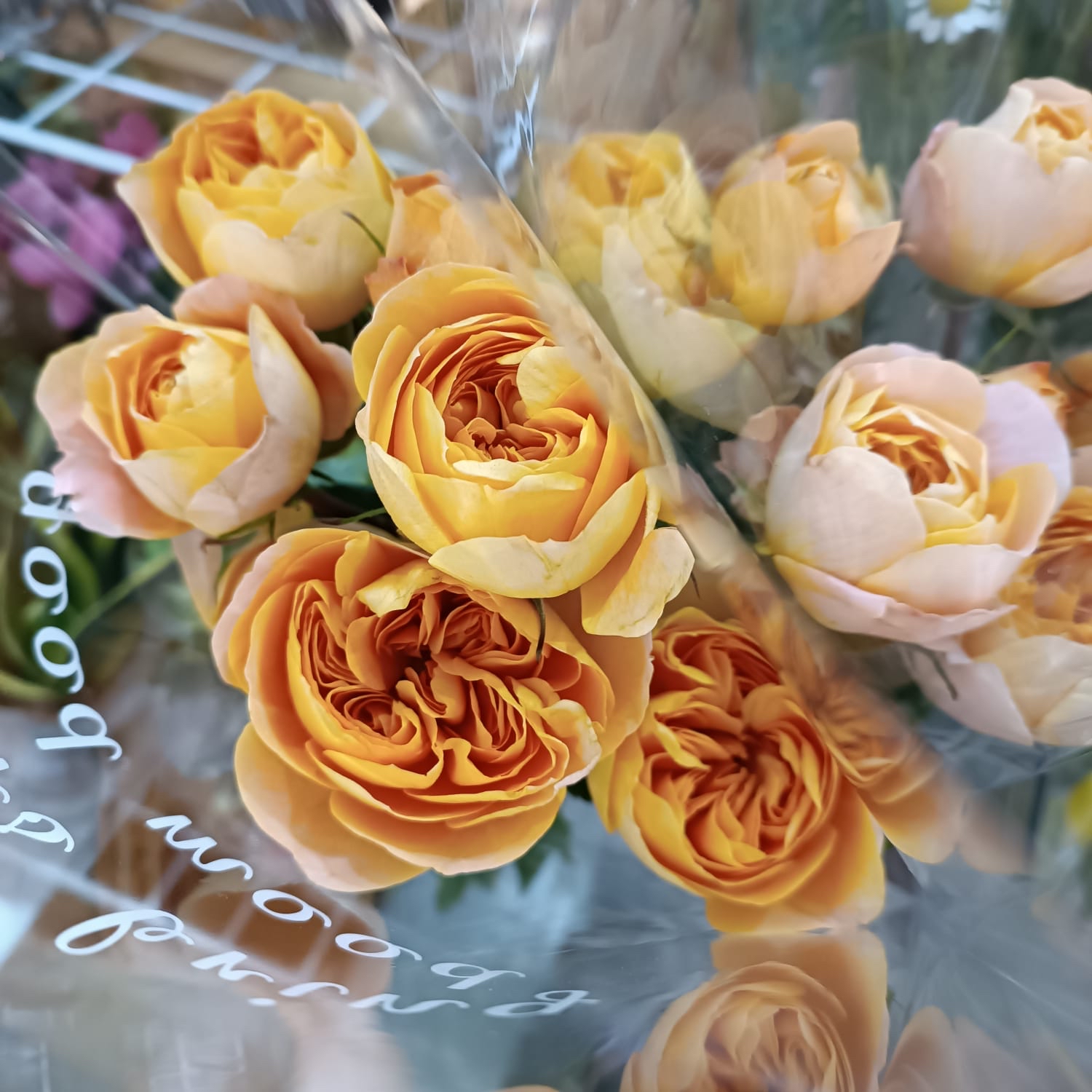 真花 小花束HYU024