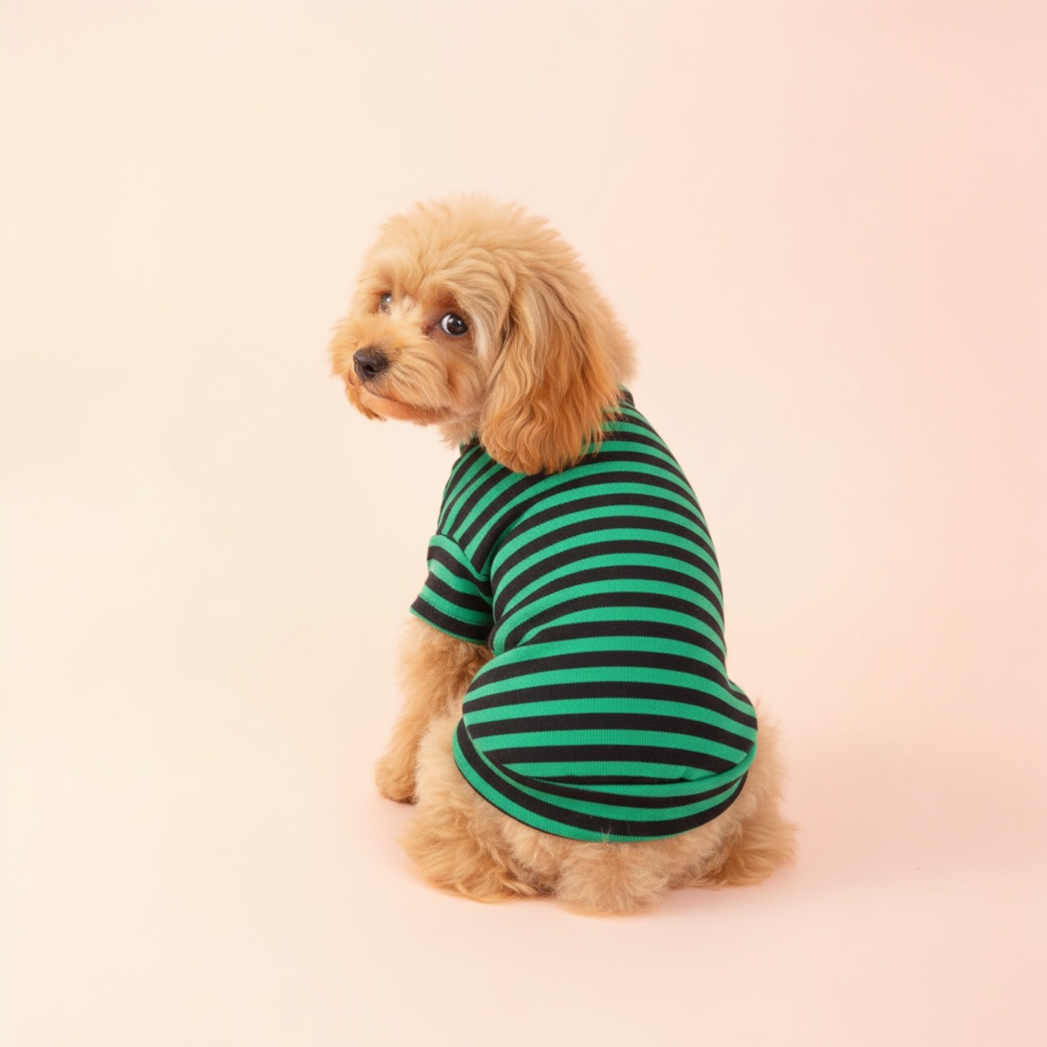 S585GN 條子有袖TEE(綠色) TEE with striped sleeves (green)