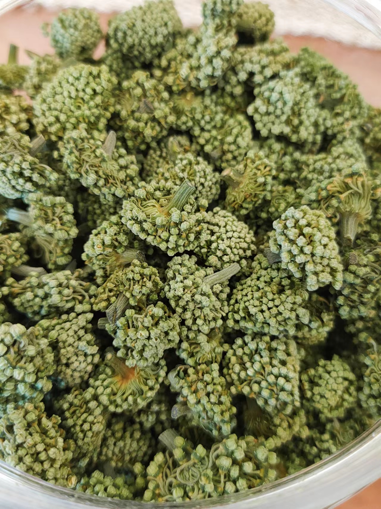 <文山 三七花/田七花>- (沖飲) - 改善眼底血液循環, 舒緩耳鳴,頭痛,頭暈