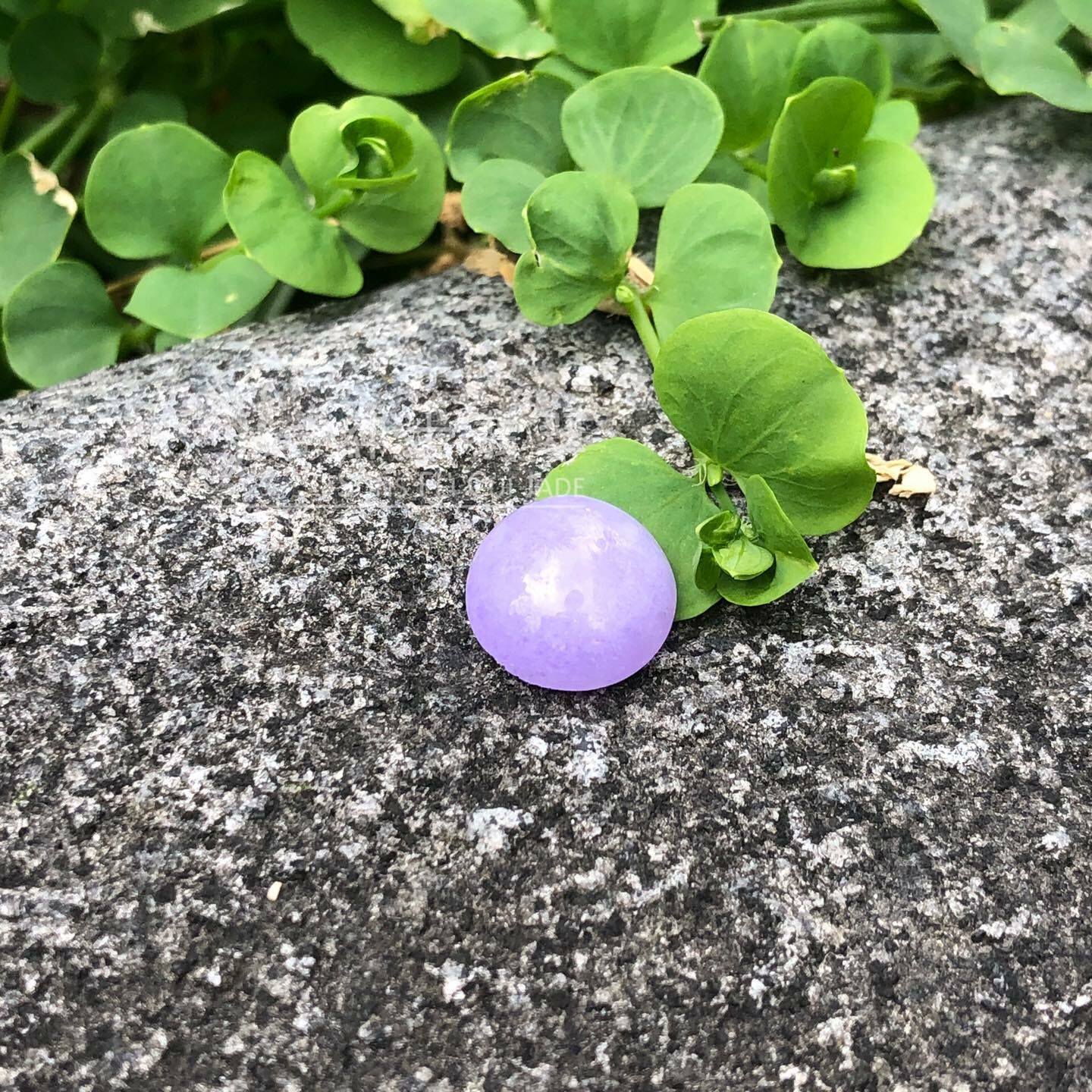 濃色正紫蛋面 - 13