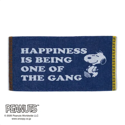 日本直送~新款Snoopy毛巾枕頭套 藍黃色