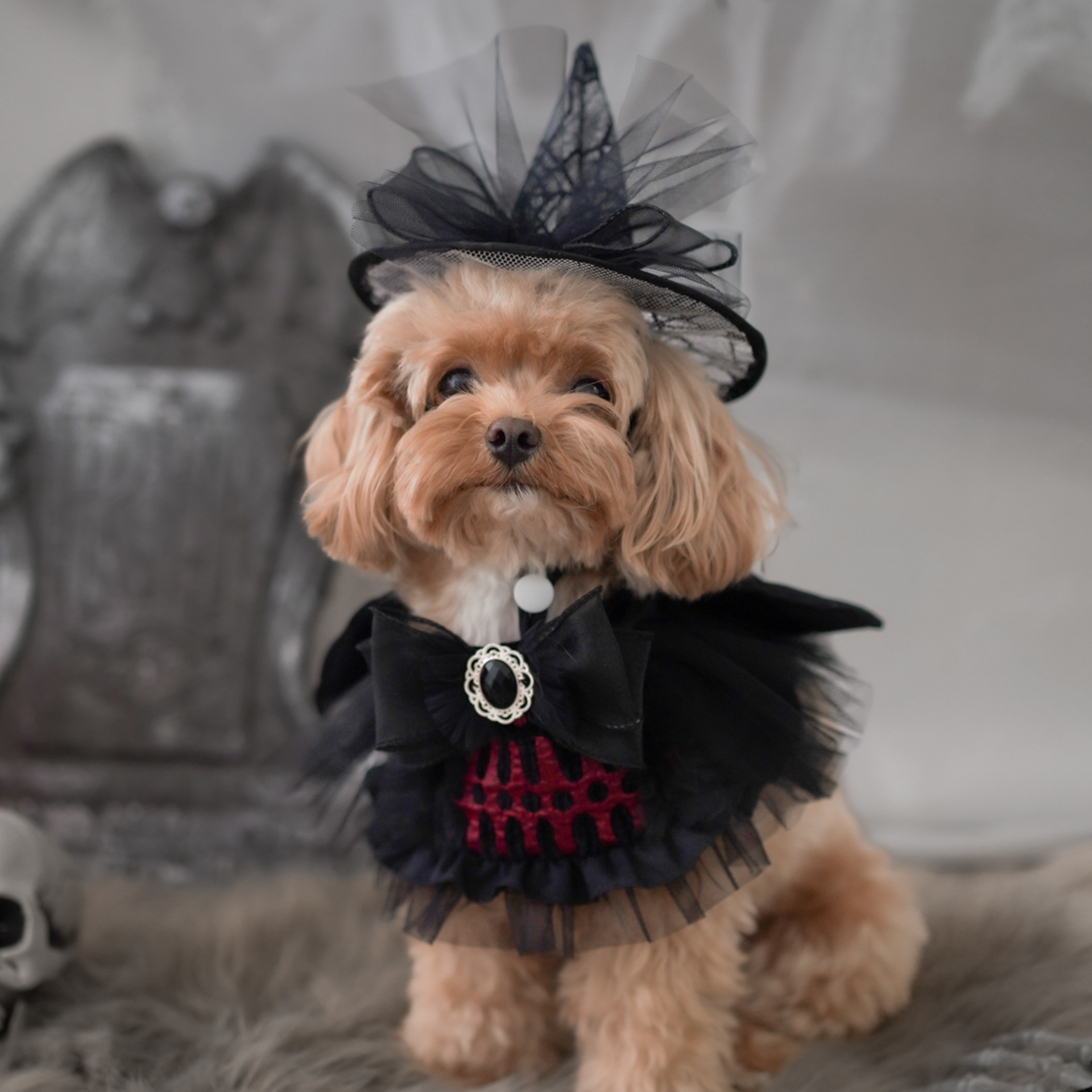 🎃Haunted Castle – Crimson Wing Pet Cape