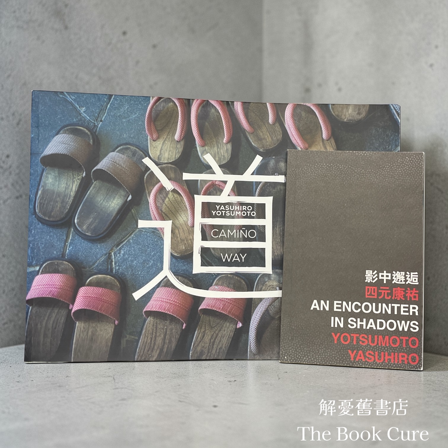 Camiño-Way 、 An Encounter in Shadows  (2 books) /  by Yasuhiro Yashuiro 四元康祐