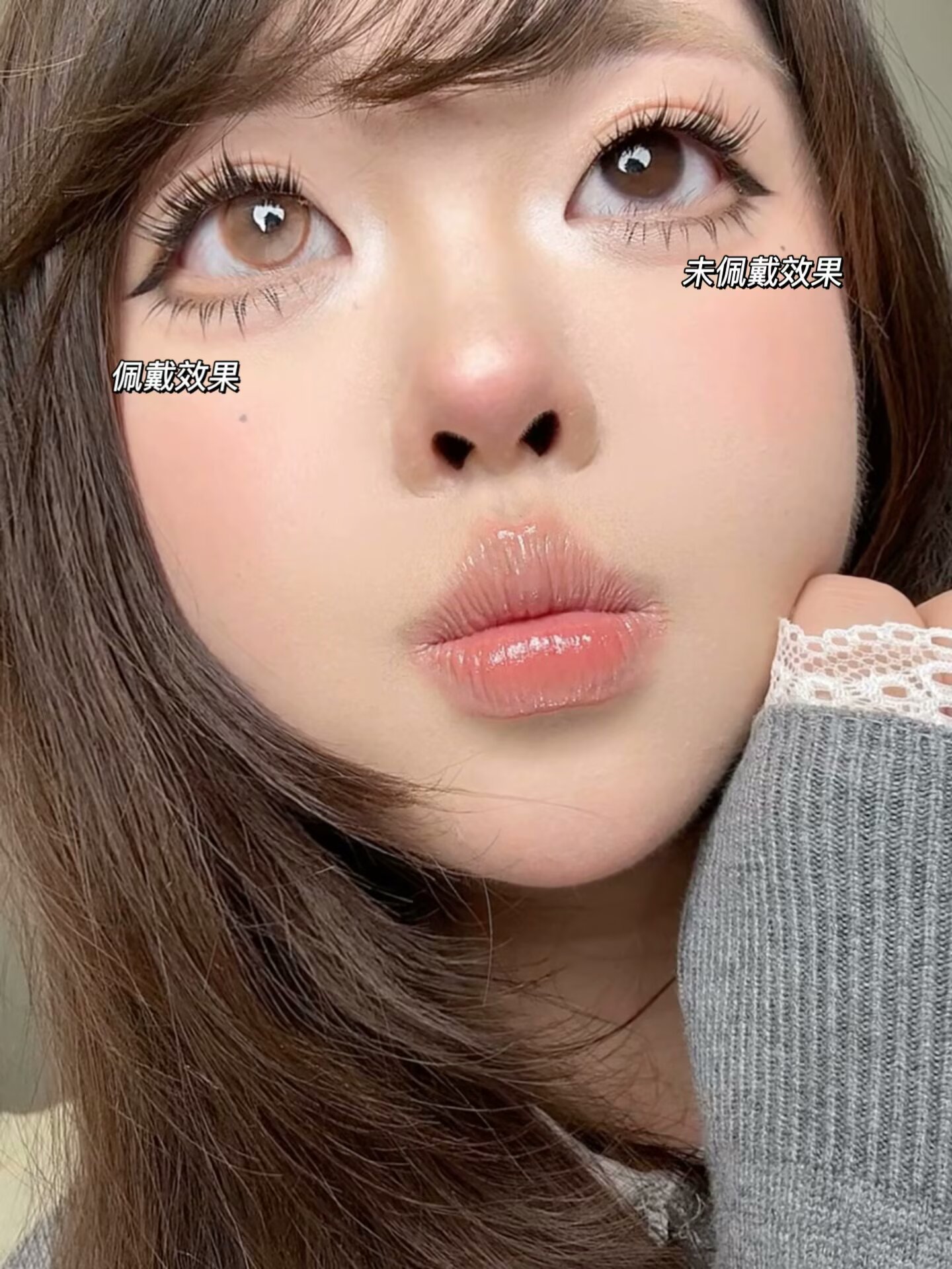 EggUncle 半年拋 小狗火龍果/失焦庇護所