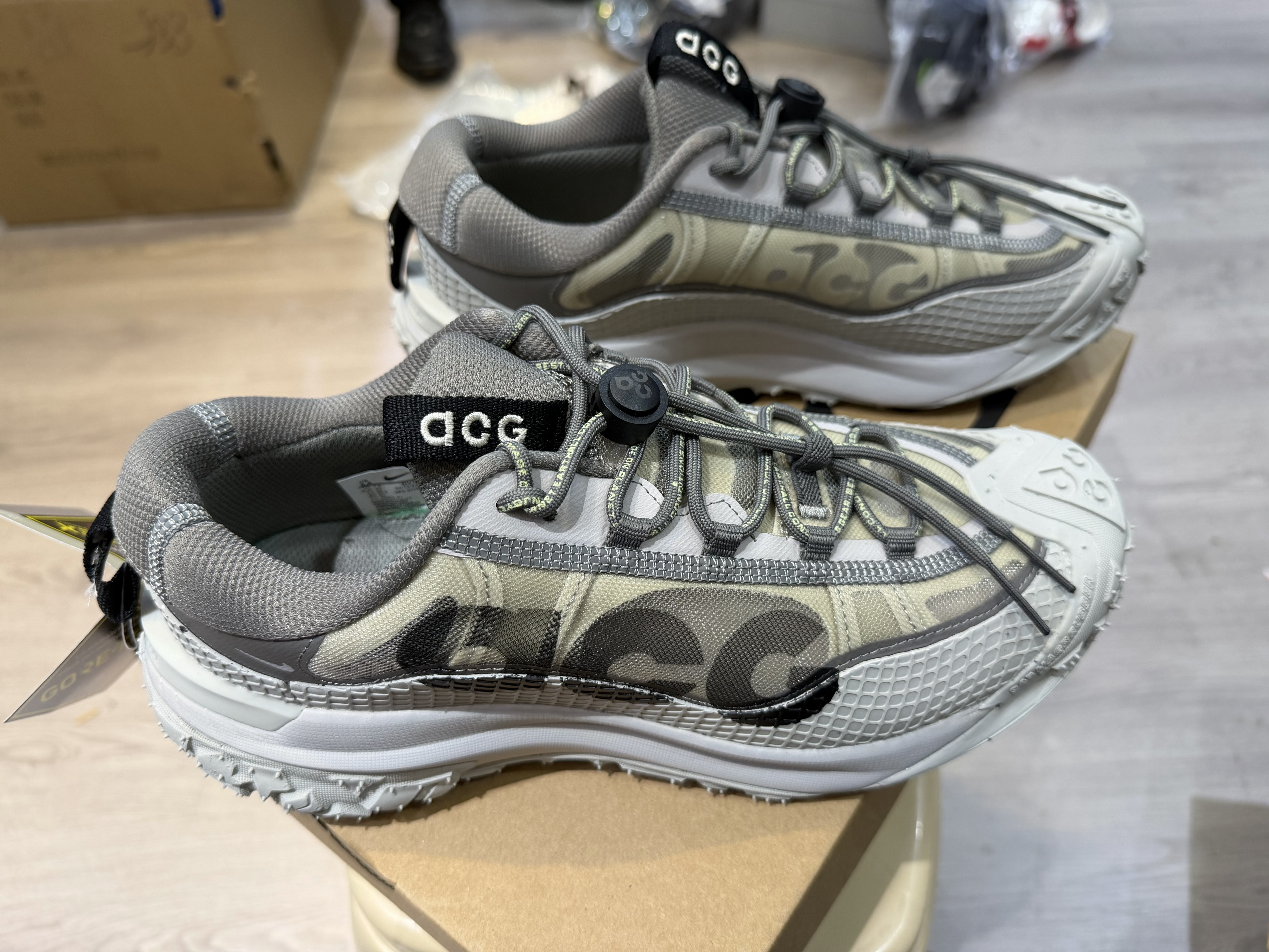 Nike ACG Mountain Fly 2 Low