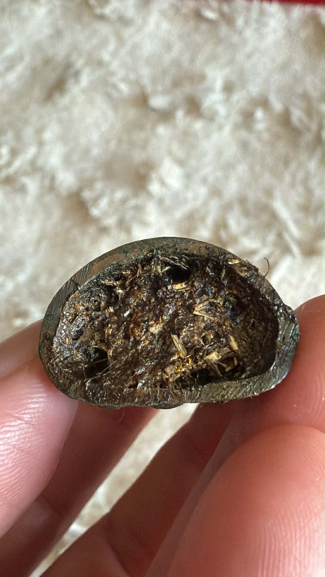 🧚‍♀️天神的老師🧚🏻‍♀️灣馬哈喇，灣朵通 阿贊普理