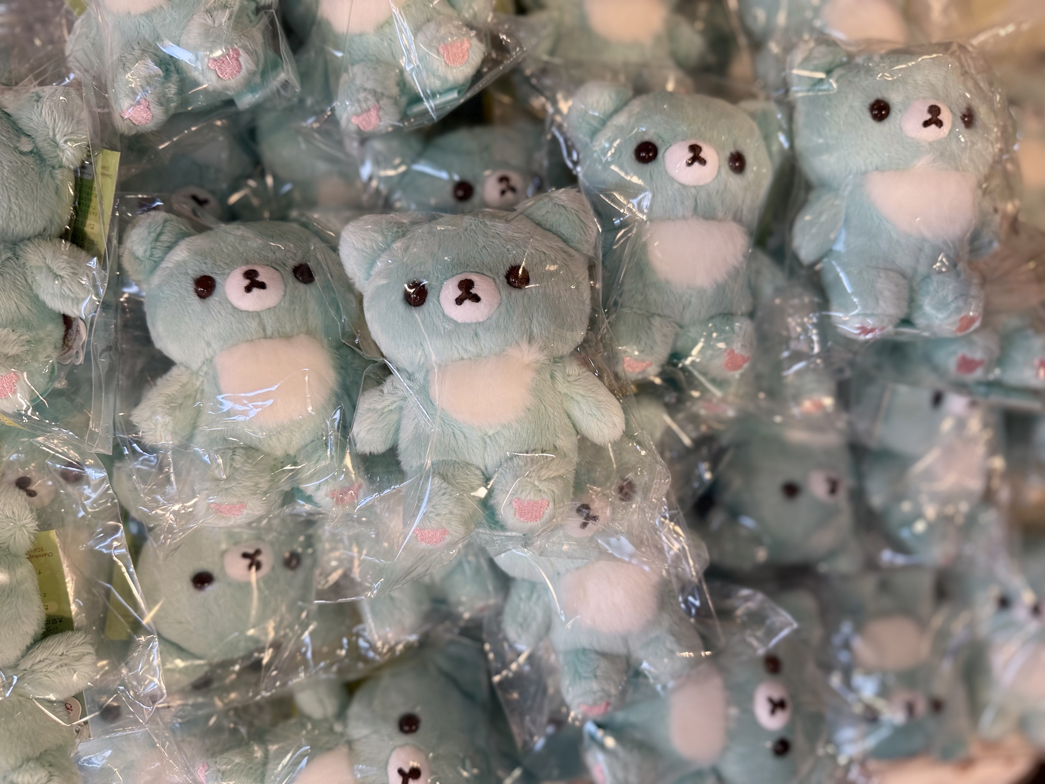 《現貨》全新小熊10週年紀念 薄荷綠色小熊公仔