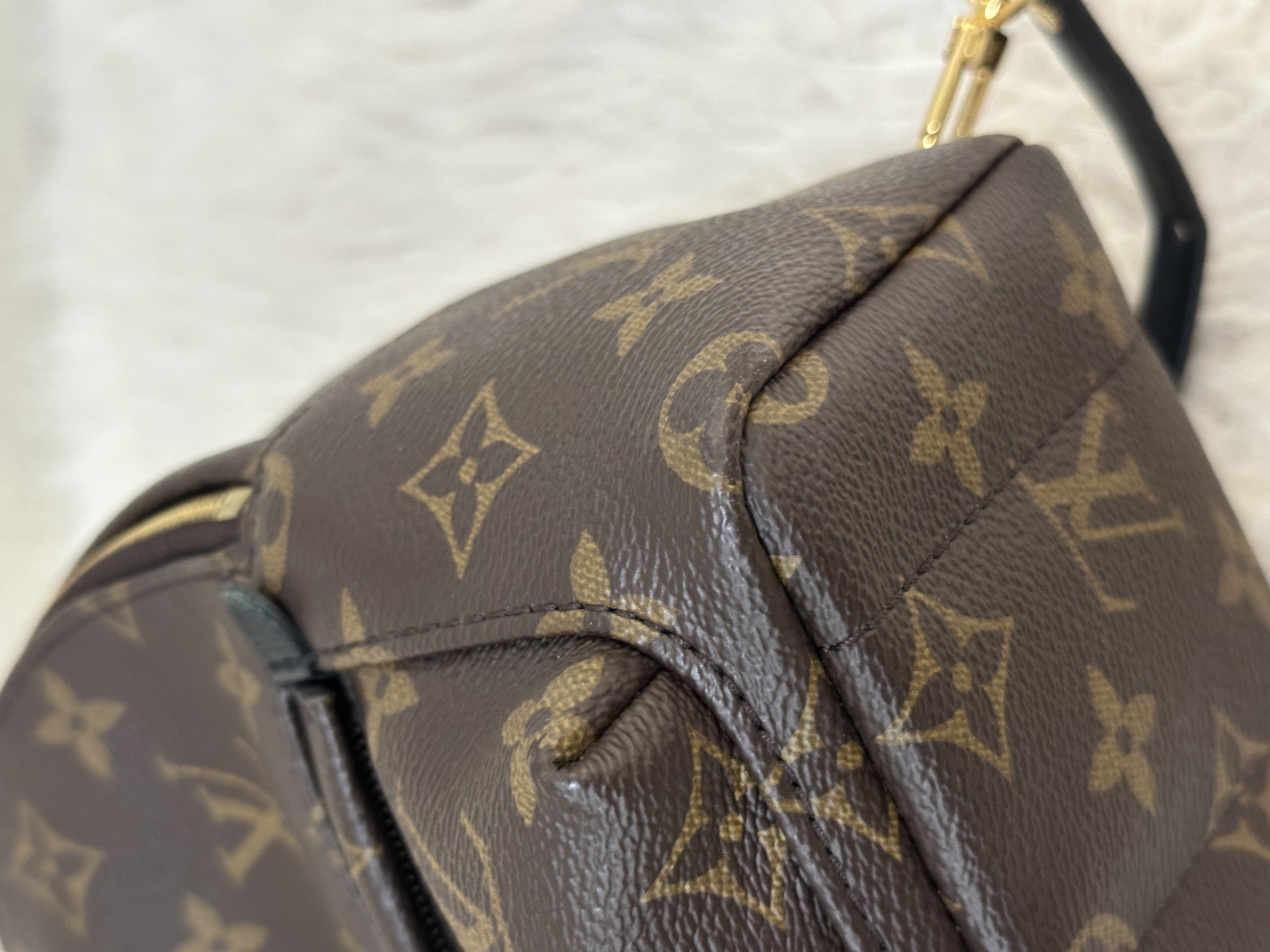 Pre-owned Louis Vuitton Monogram Palm Springs Backpack /26NY10