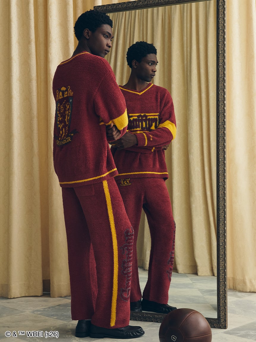 學院V領毛衣 V-neck Design Pullover｜SNIDEL HOME X 哈利波特 聯名 第5彈 (Harry Potter)【預購】 (26196-P）