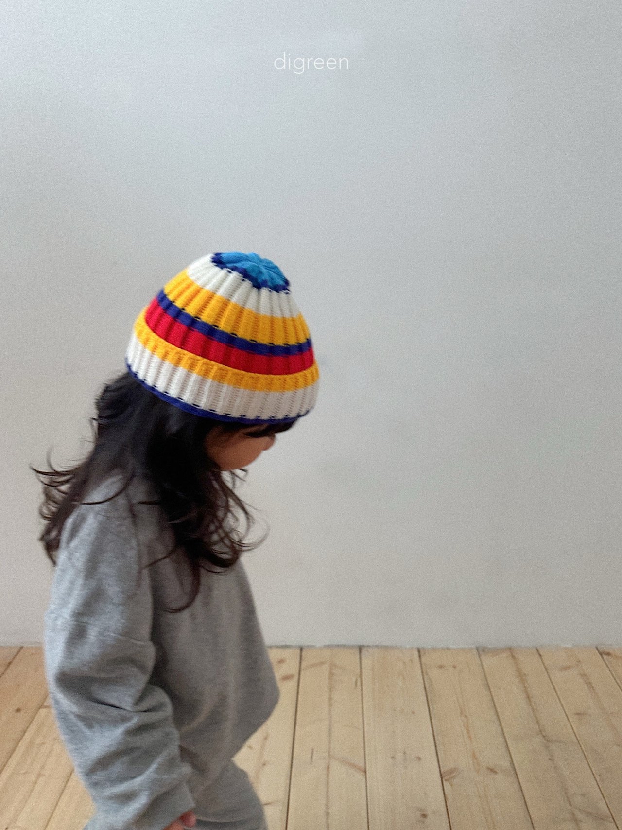 Digreen | multi beanie 