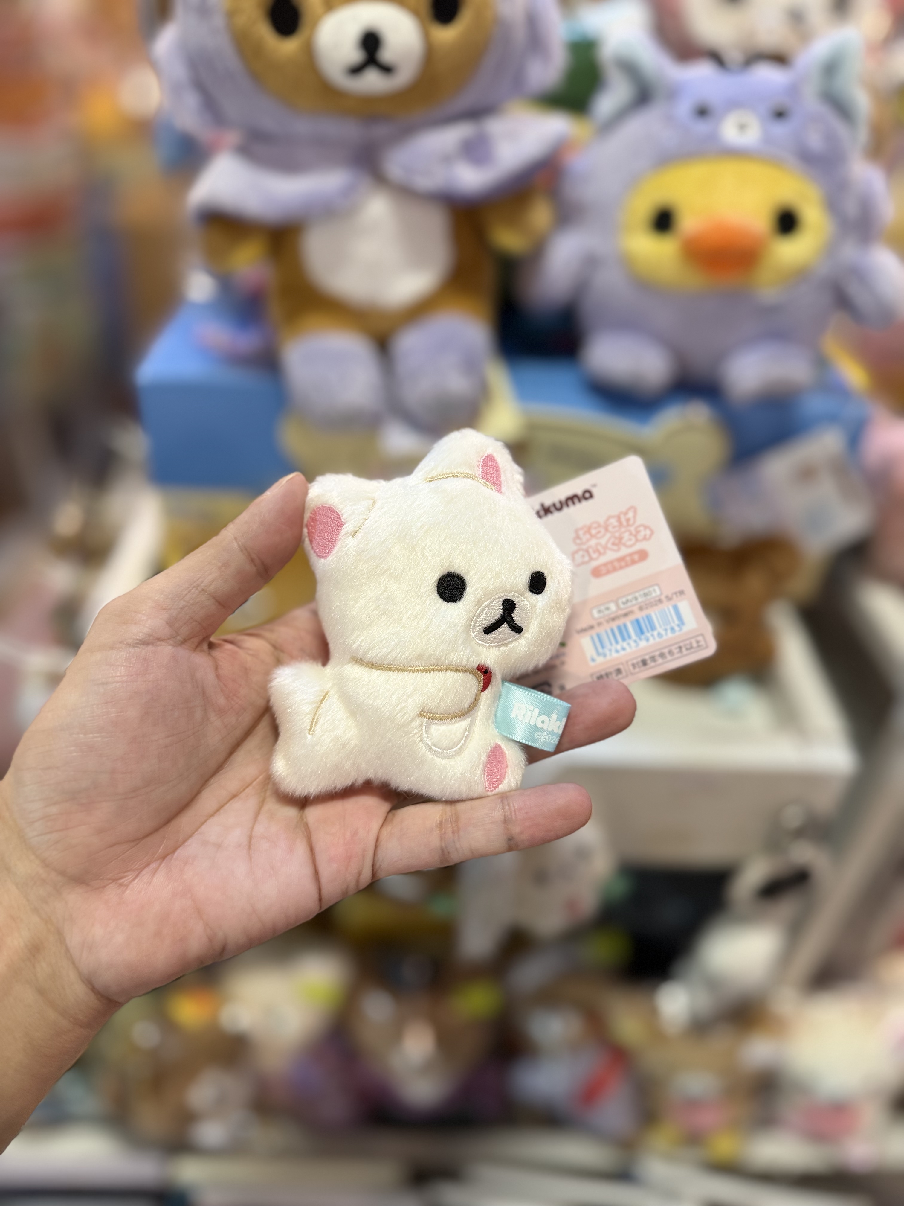 《現貨》全新Rilakkuma瓦瓦貓系列掛飾