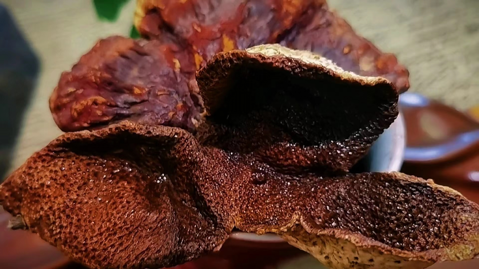 🌿 野生赤靈芝：自然的健康奇蹟 