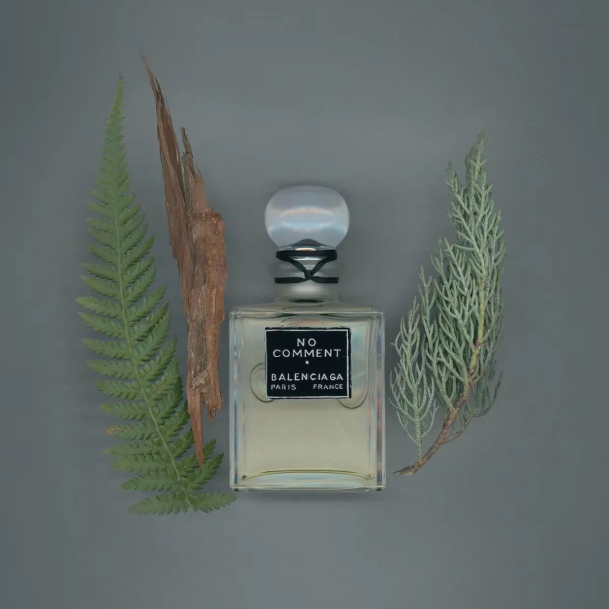 BALENCIAGA Parfum 香水 - No Comment 100ml