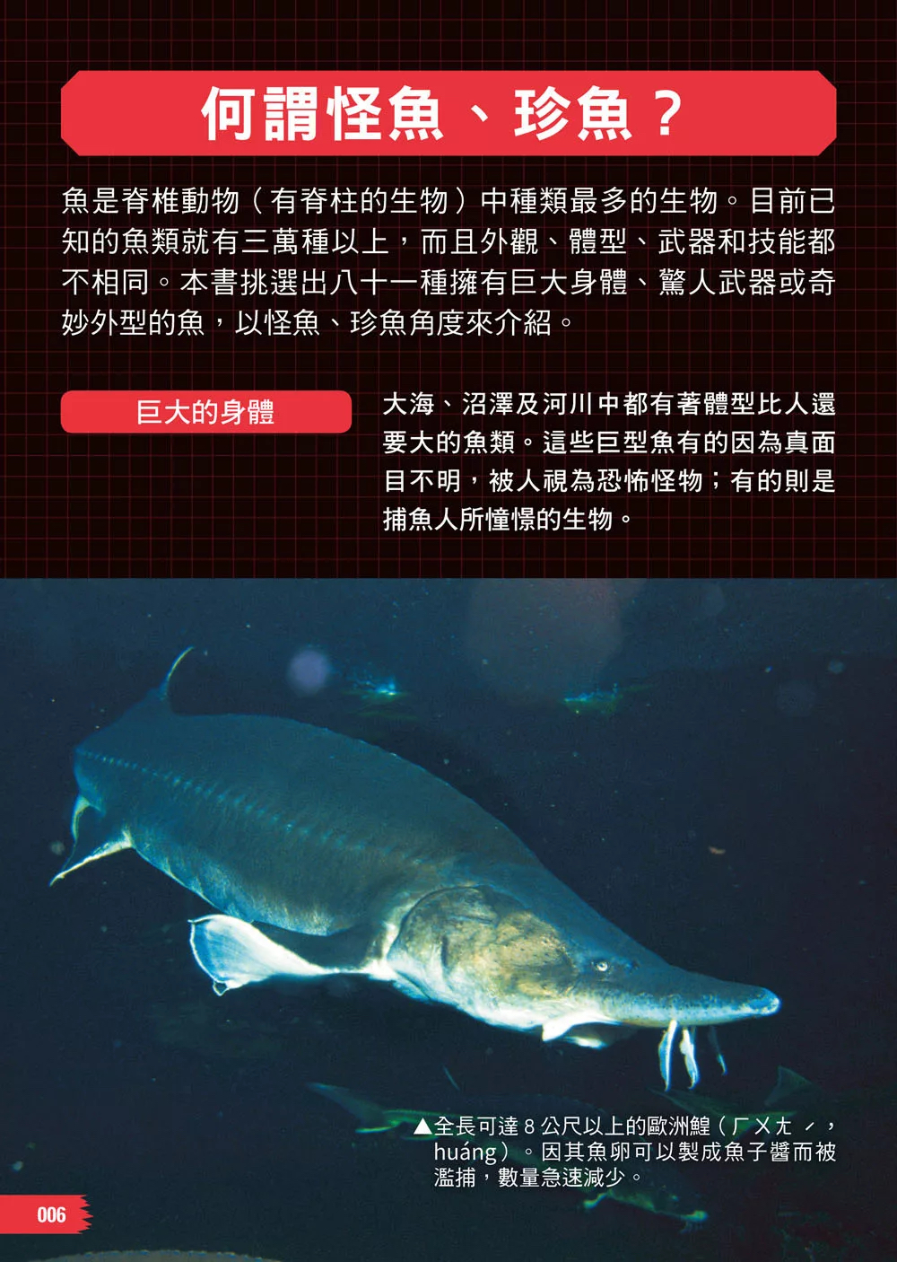 西北國際 怪魚·珍魚大百科