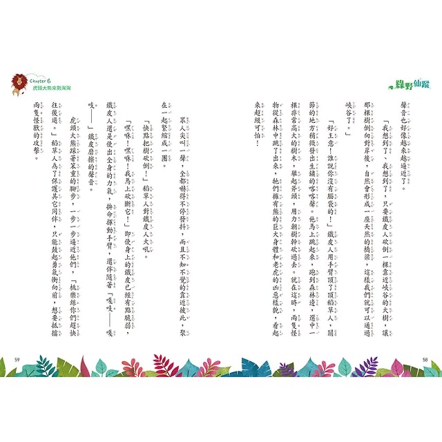 🔸預購貨品🔸綠野仙蹤