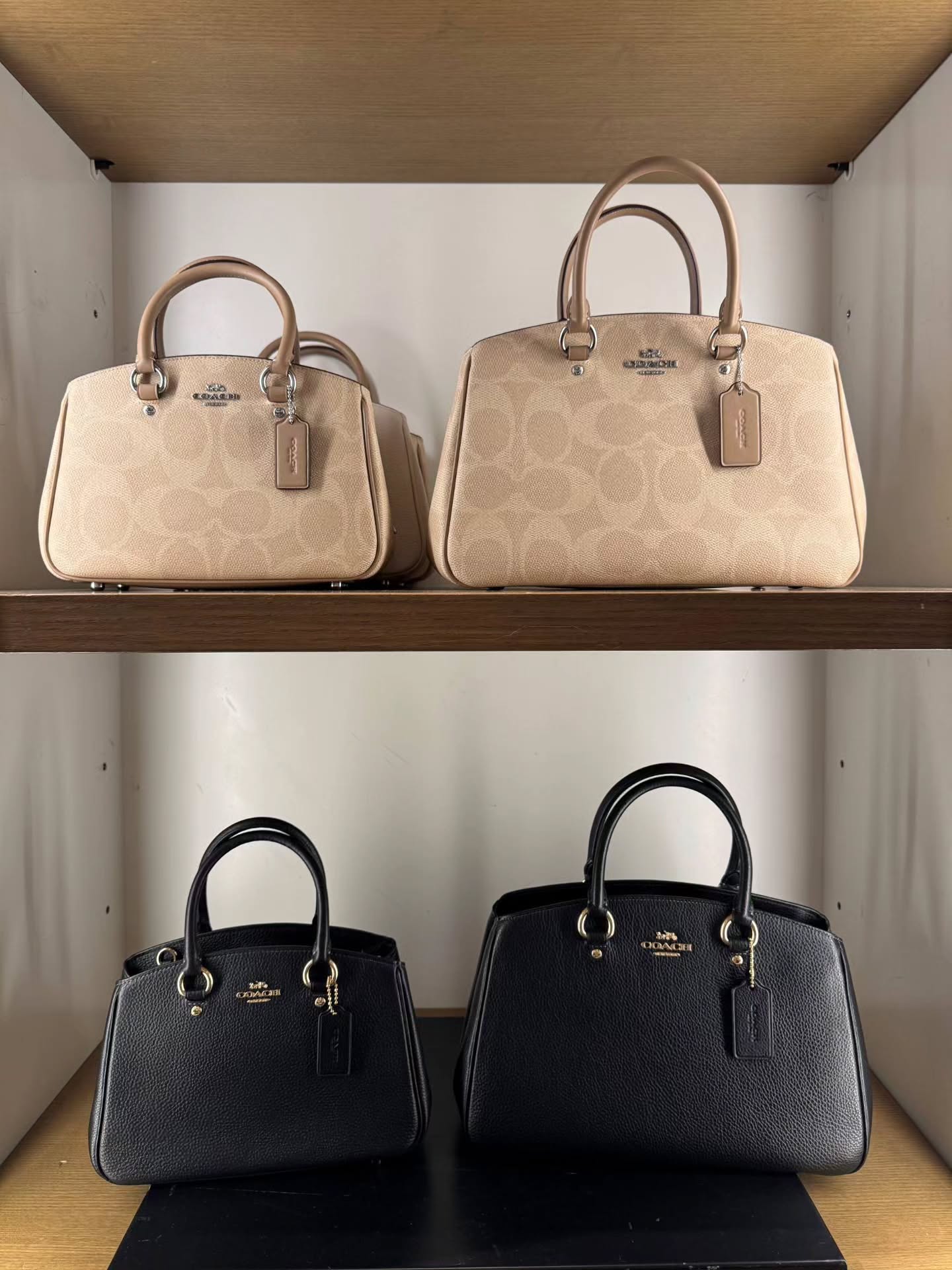 🇯🇵Coach Savannah 戴妃包