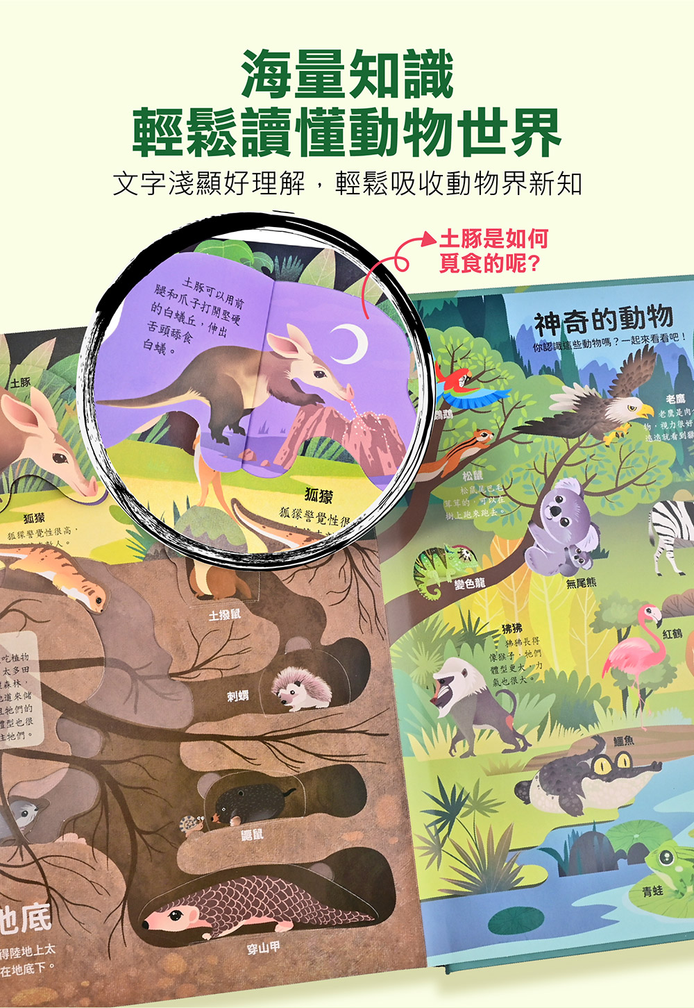 風車 神奇的動物百科立體翻翻書