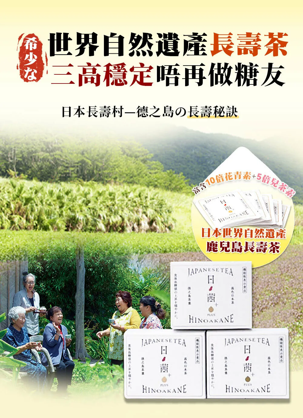 日本 日茜茶 世界自然遺產鹿兒島長壽茶 一盒內有20包