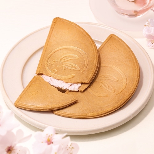 日本直送春季限定版 櫻花春季限定版5入/10入