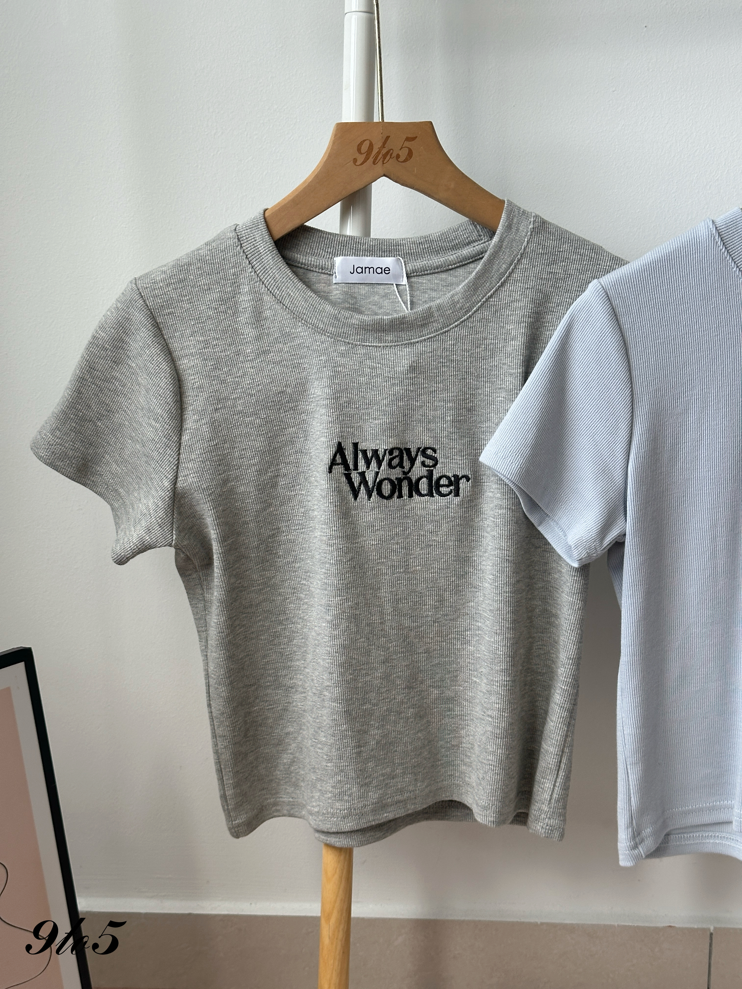 T4367 Embroidery Wording Crop Top - 4 Colors 
