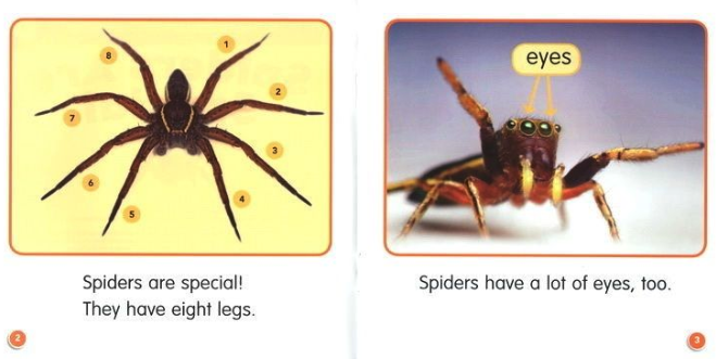 Scholastic Guided Science Readers ABCDEF 學樂小讀者 科學指導｜5 boxes｜點讀版