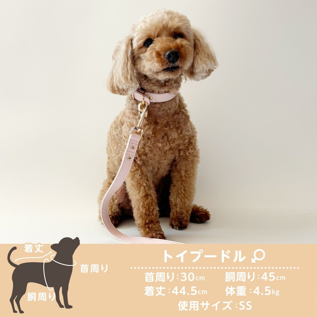🌸 【預訂】Chiikawa 小型犬用 頸圈