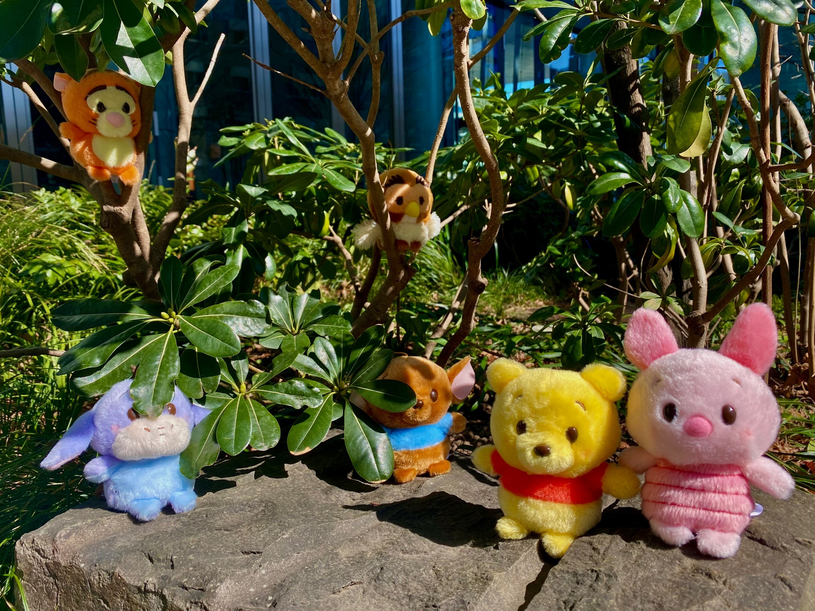 [現貨] [JDS] うるぽちゃちゃん ｜ POOH ｜ PIGLET ｜ TIGGER ｜ EEYORE ｜ OWL ｜ 迷你毛公仔 {TF2303004}