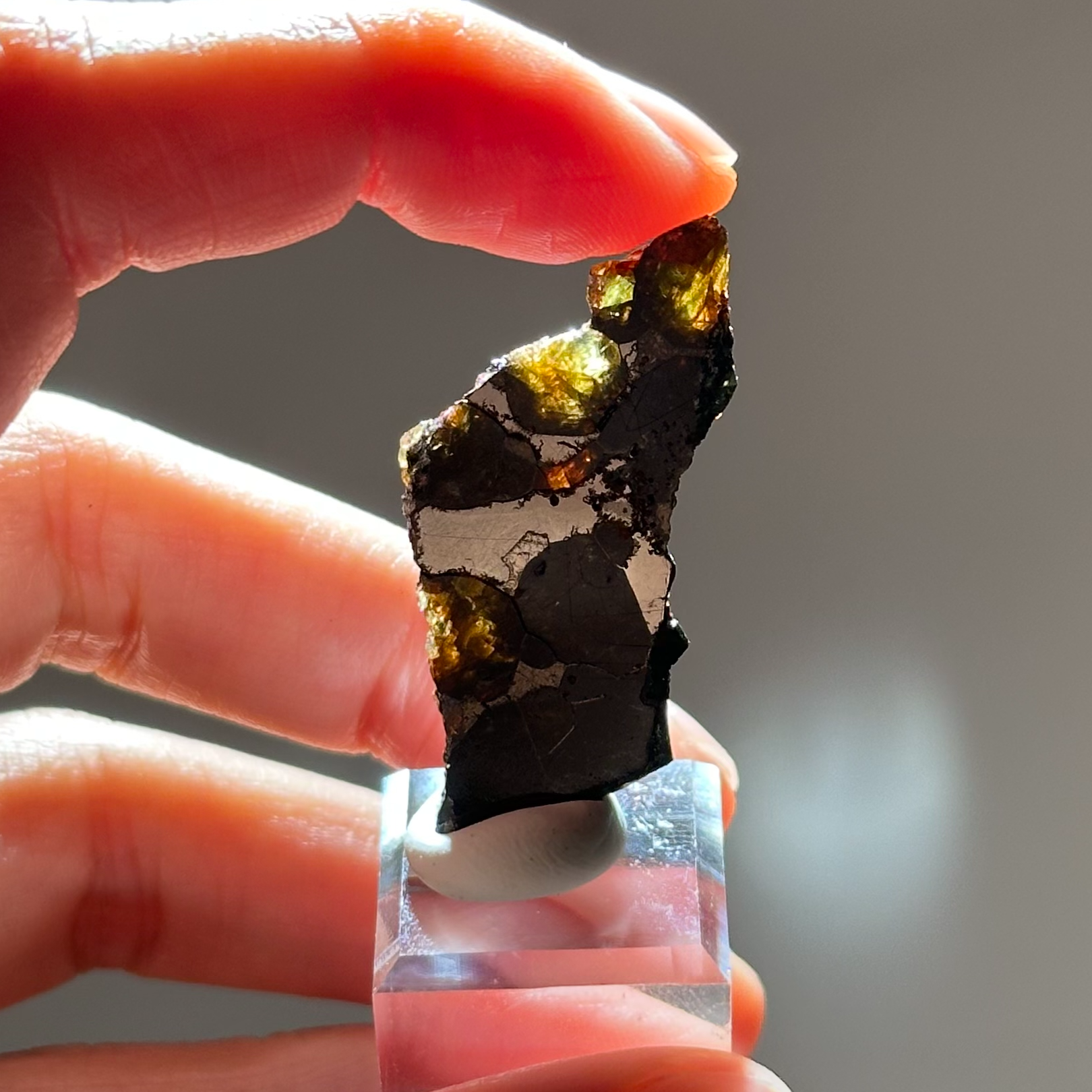 橄欖鐵隕石 - Pallasite Meteorite｜PA04