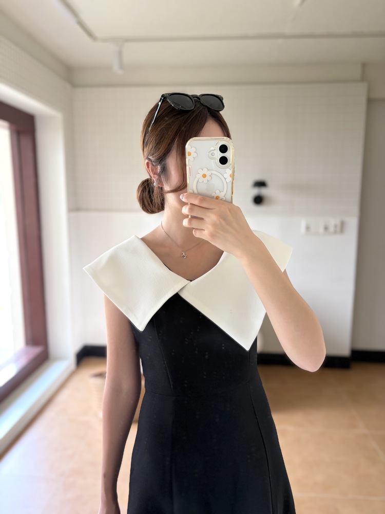 Celine Contrast Collar Dress