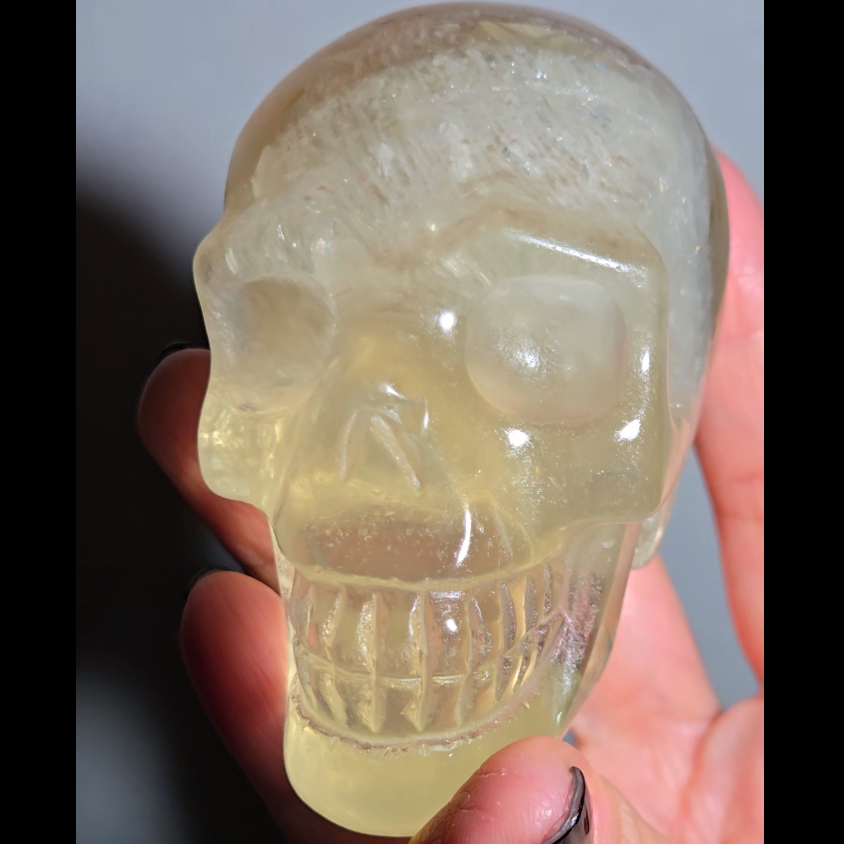Citrine skull with rainbows and star flash asterism - C66