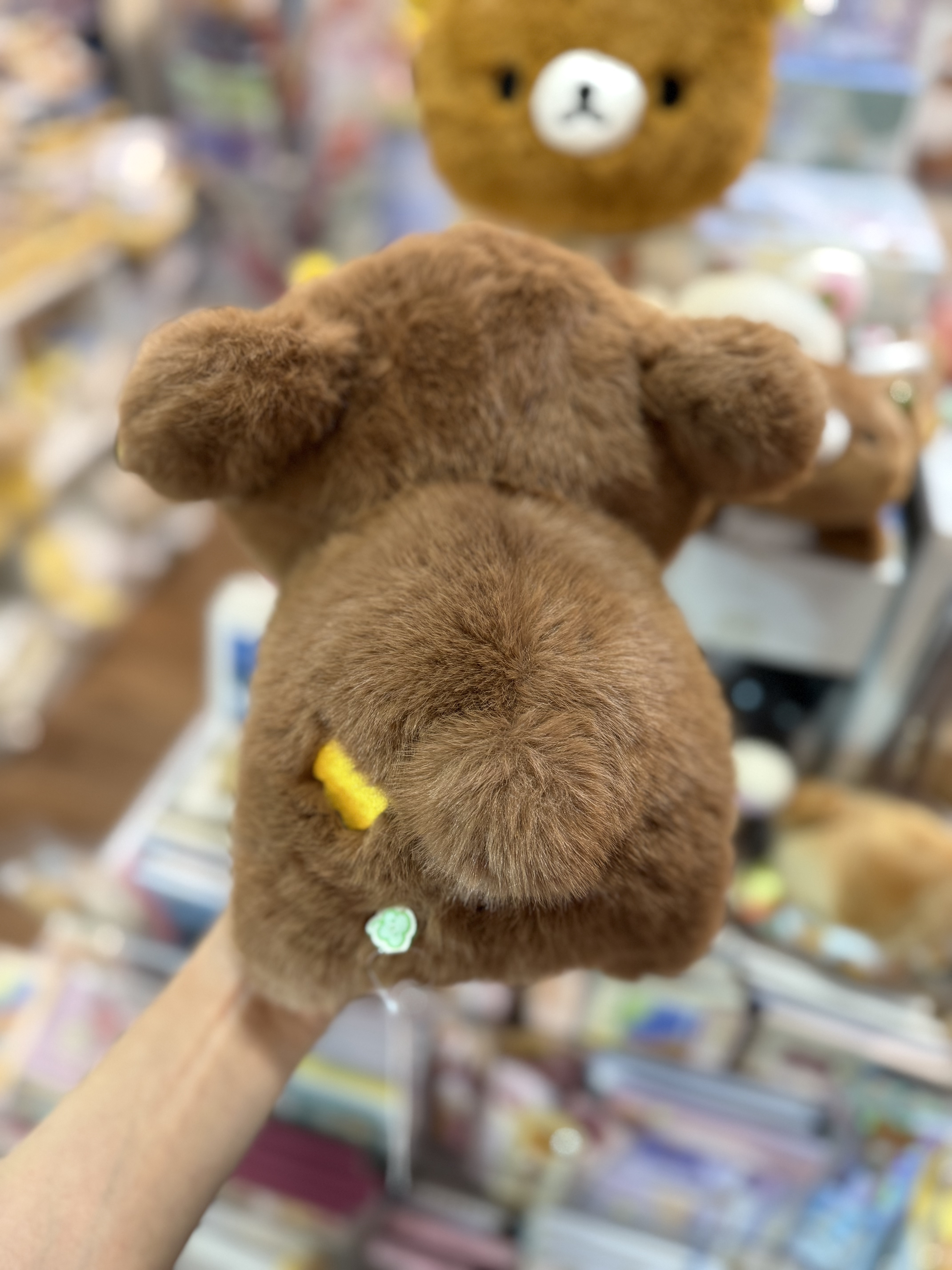 《現貨》全新小熊10週年紀念四葉草系列趴地公仔（M size)