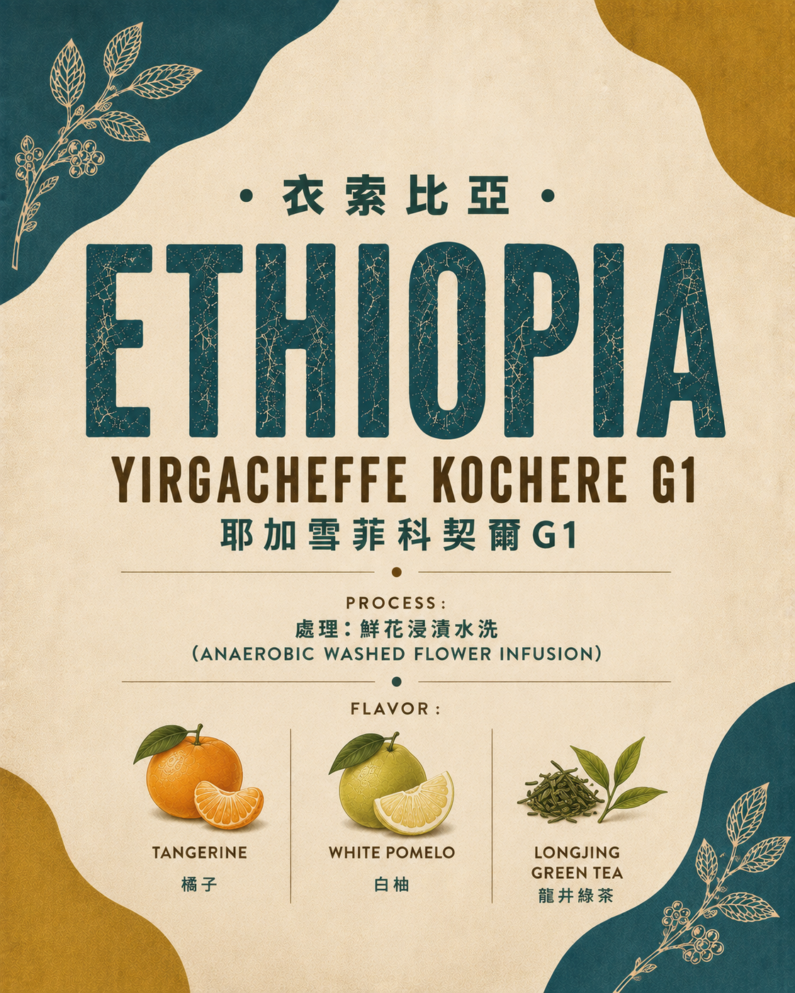 【衣索比亞Ethiopia】Yirgacheffe Kochere G1