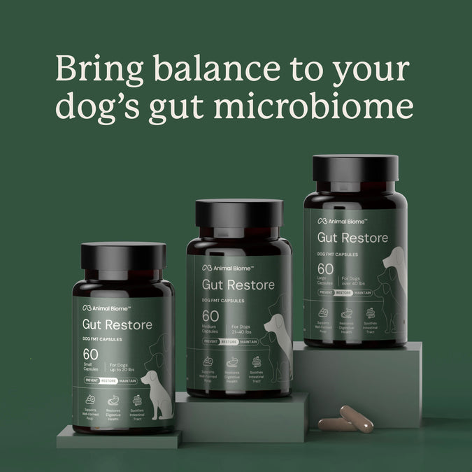 AnimalBiome : Gut Restore for Dogs [最新存貨情況請參閱下列商品介紹]