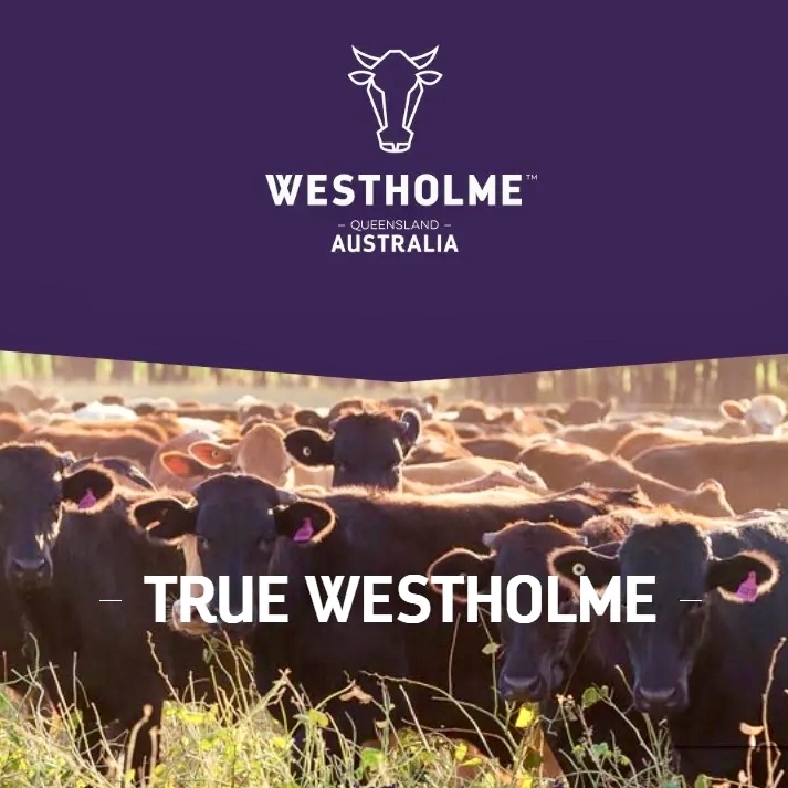 澳洲Westholme Bolar Blade（保樂肩）M4-5 300g