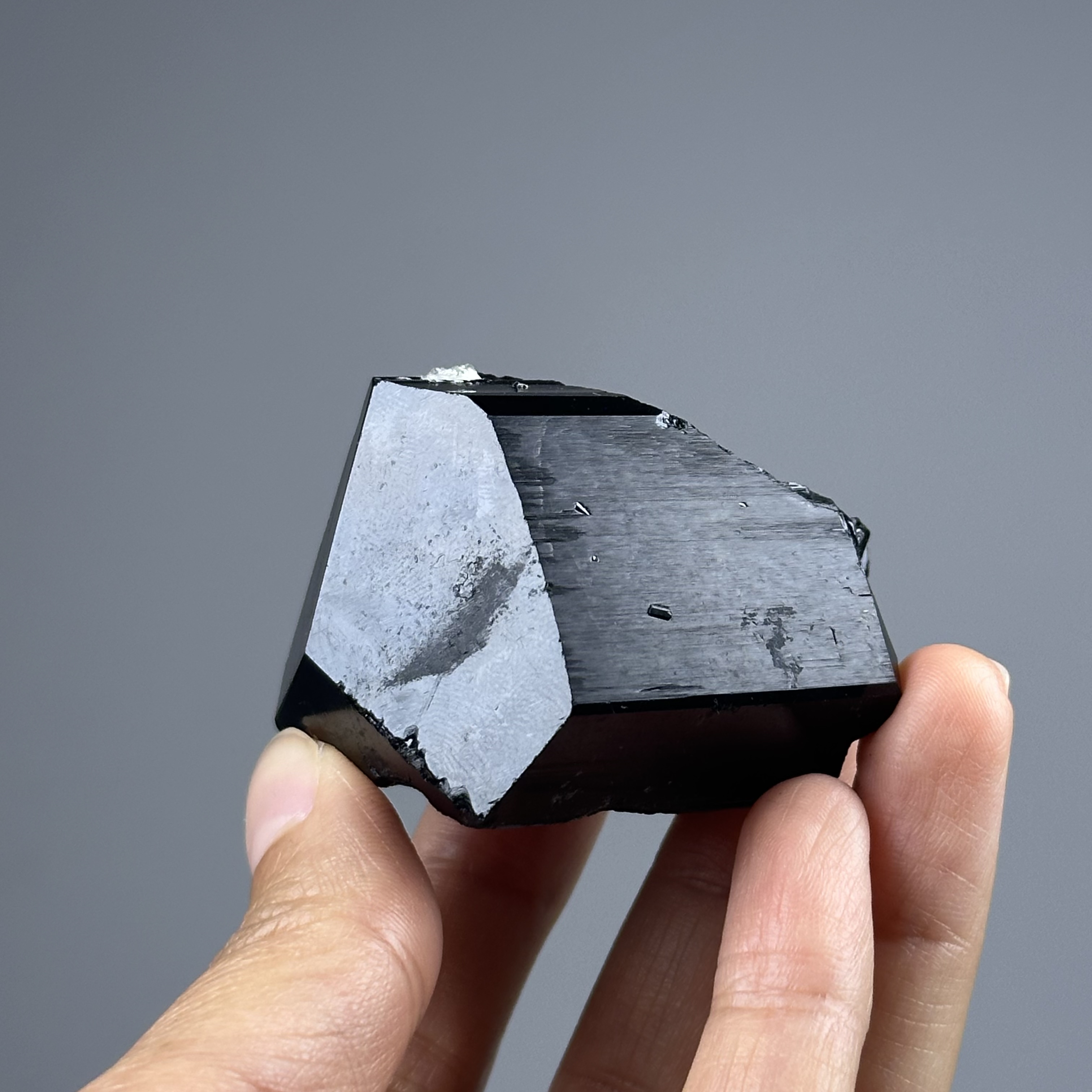 納米比亞 黑碧璽 - Schorl/ Black Tourmaline DR116