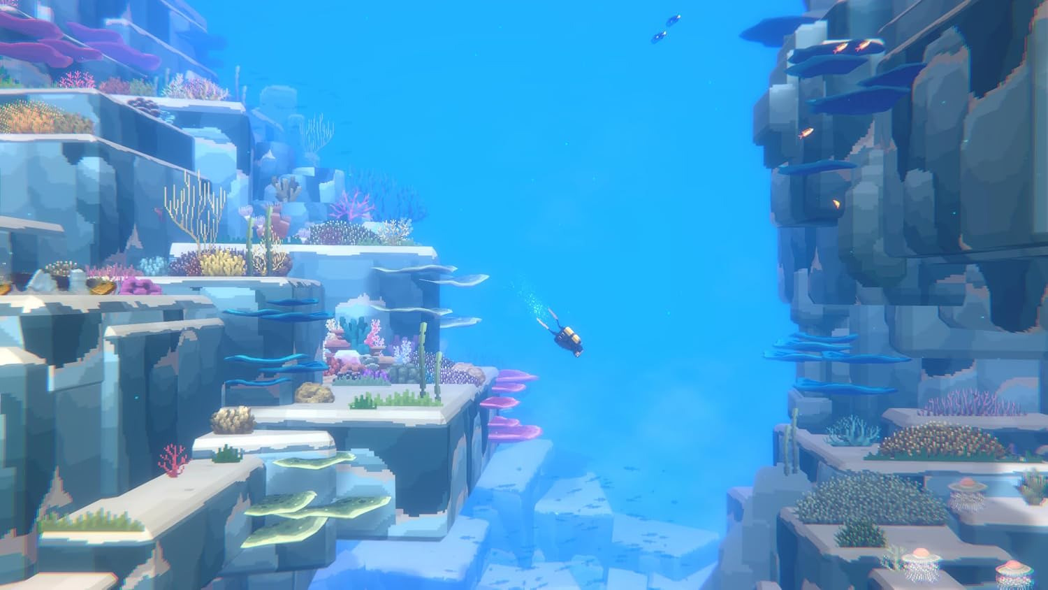PS5 潛水員戴夫【收藏版】Dave the Diver【Collector's Edition】中/英文  (英文封面) PS5-4173