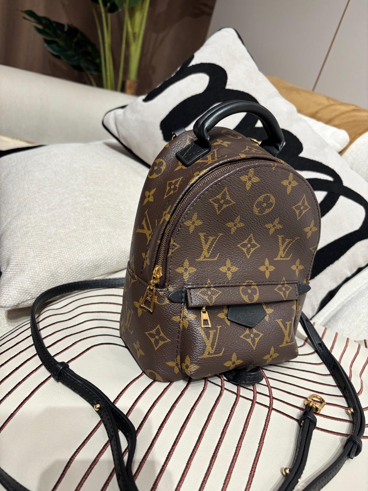 Lv mini Palm Springs backpack M44873 100%Authentic ,98%new ✅dust bag✅Strap
