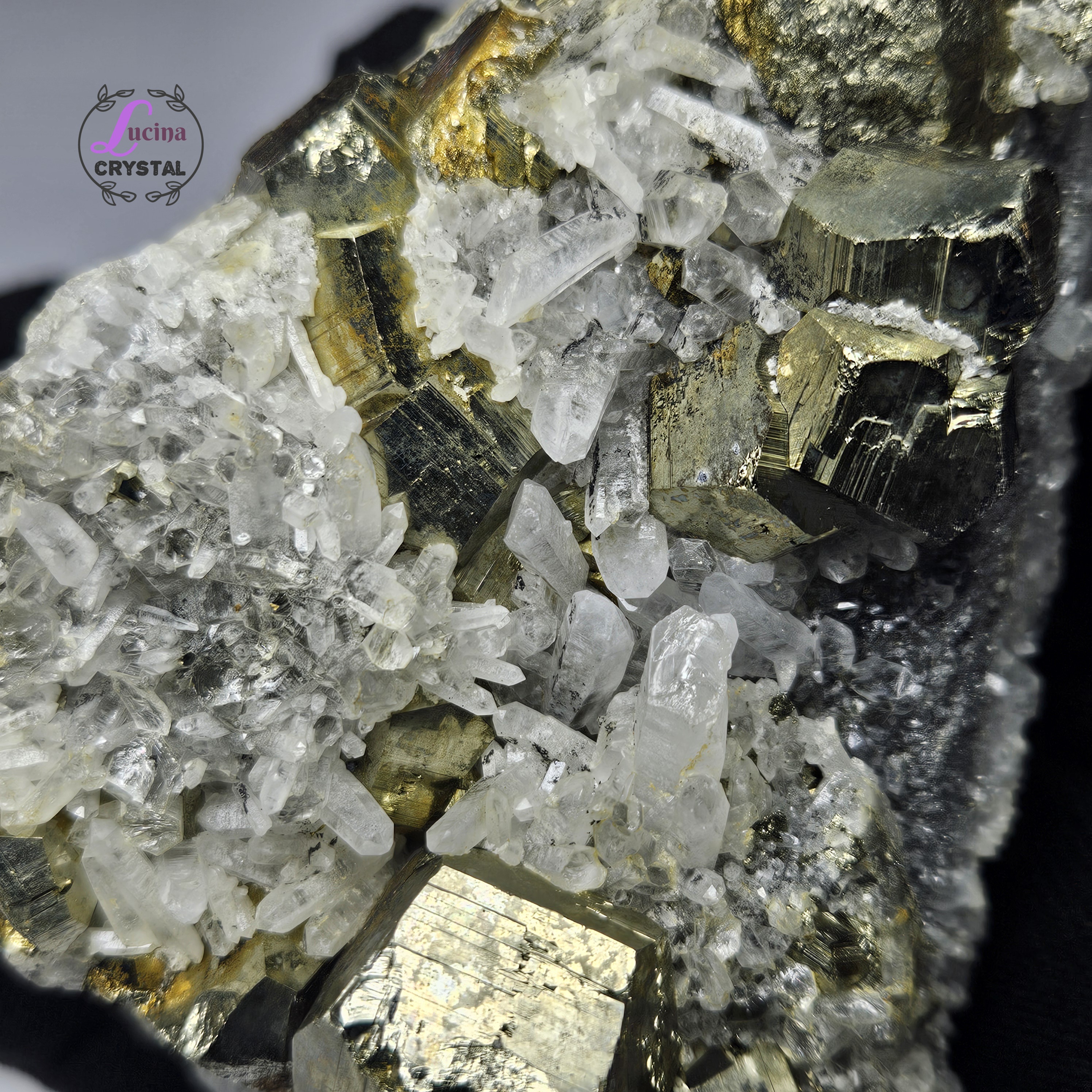 (Co#LC8546)白水晶共生黃鐵礦晶簇/White Quartz Crystal Cluster with 𝘗𝘺𝘳𝘪𝘵𝘦