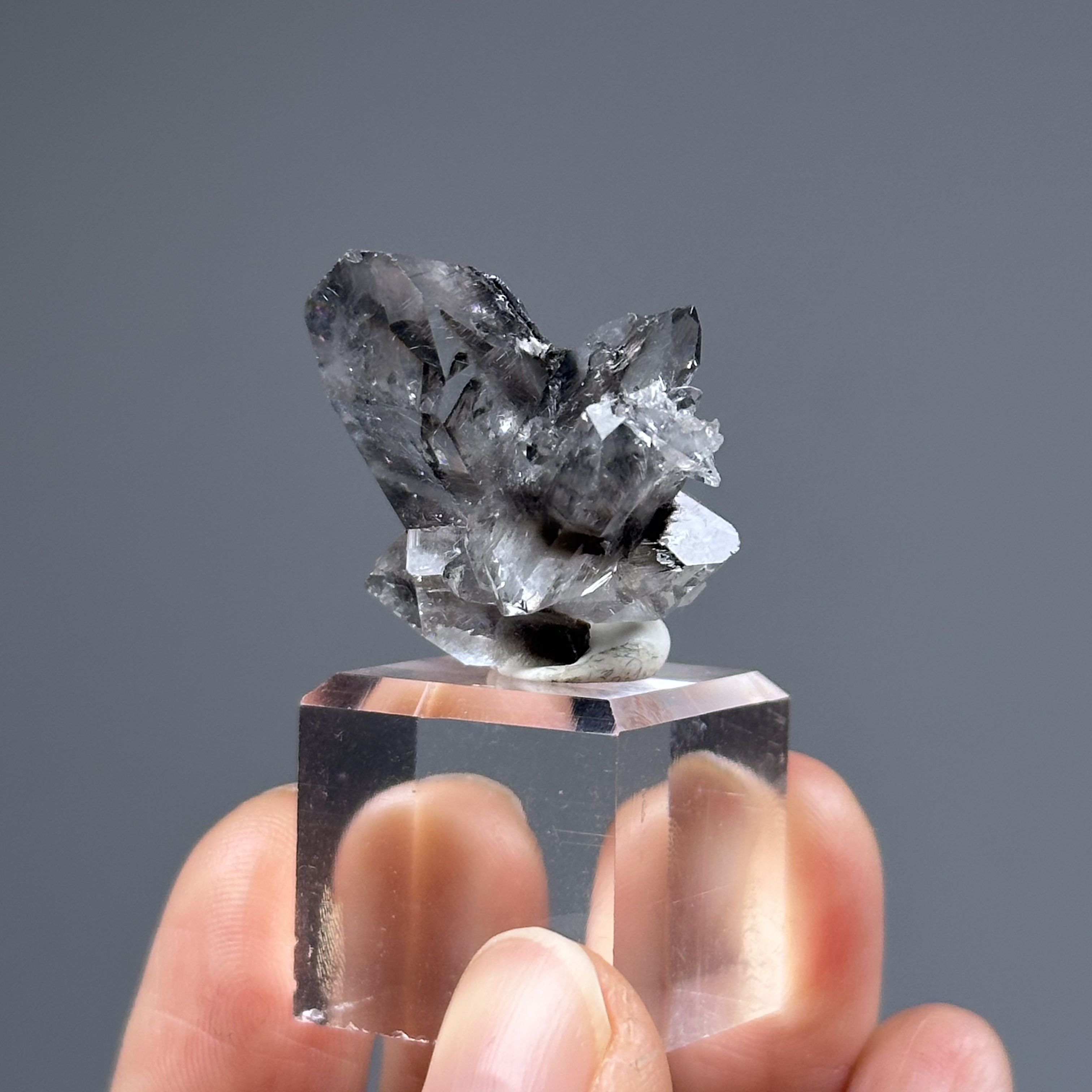 黑銀鈦水晶簇 - Brookite and Rutile Quartz | RU015