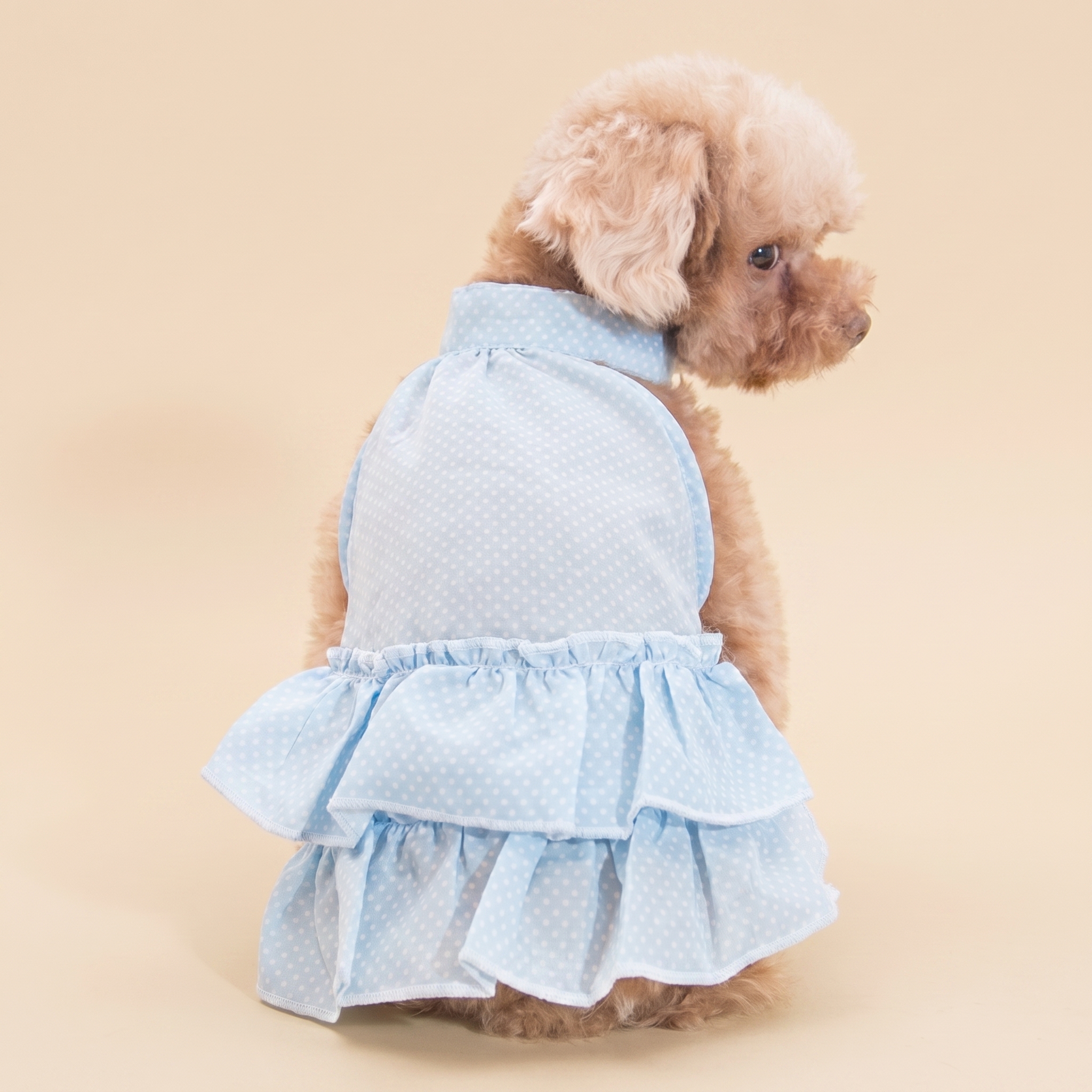 A155B Ada Dotty Summer Dress 清爽點點裙