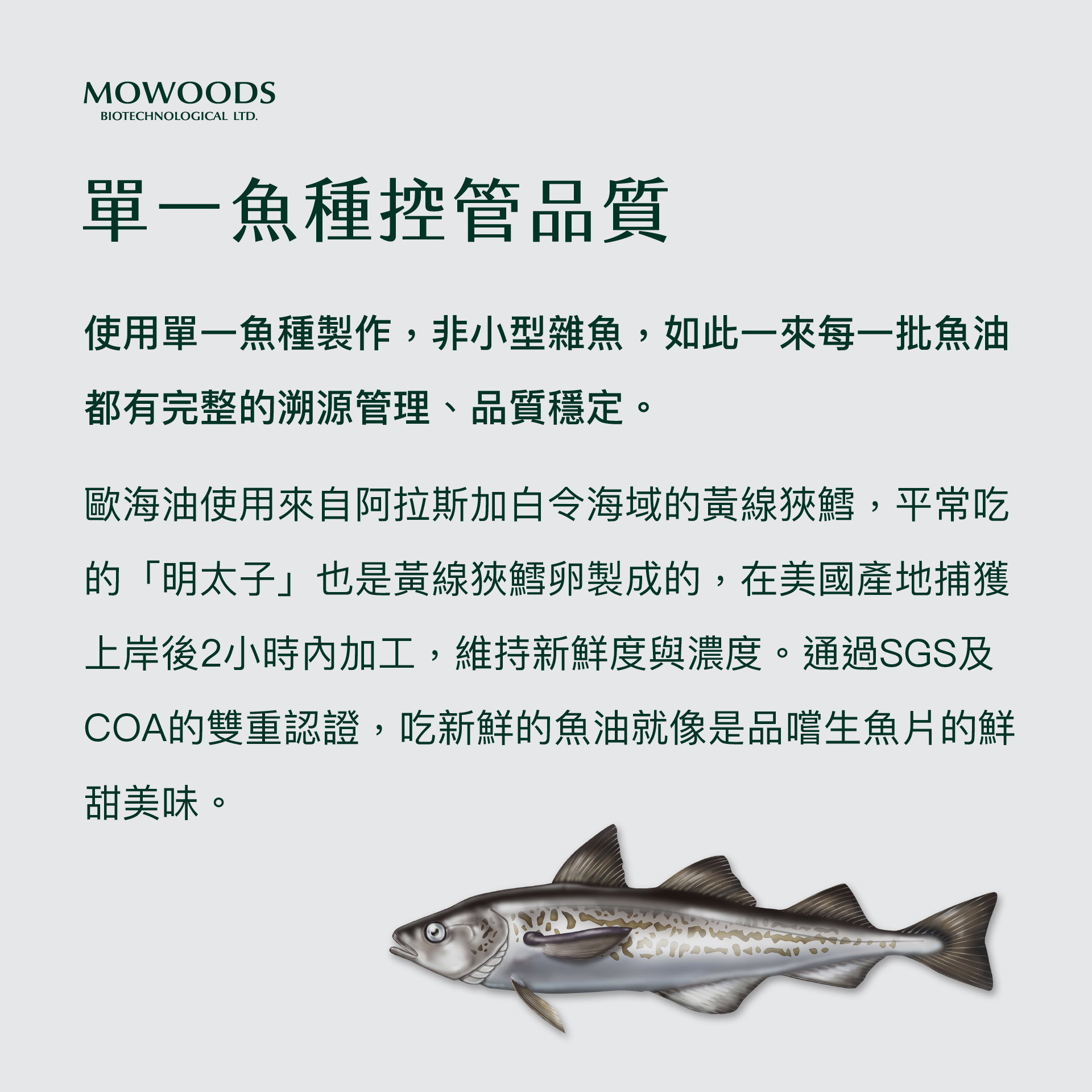 MOWOODS 歐海油 Omega-3+7 寵物魚油 - 雙倍保護力，呵護愛寵健康