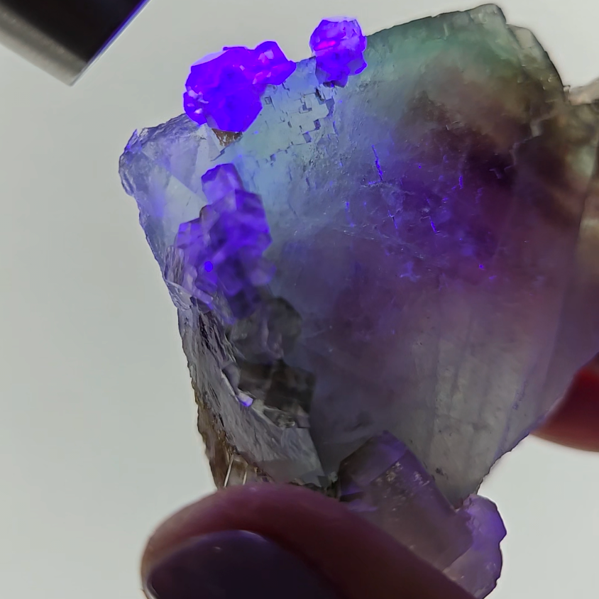 Red phantom fluorite with columnar UV calcite - FL232