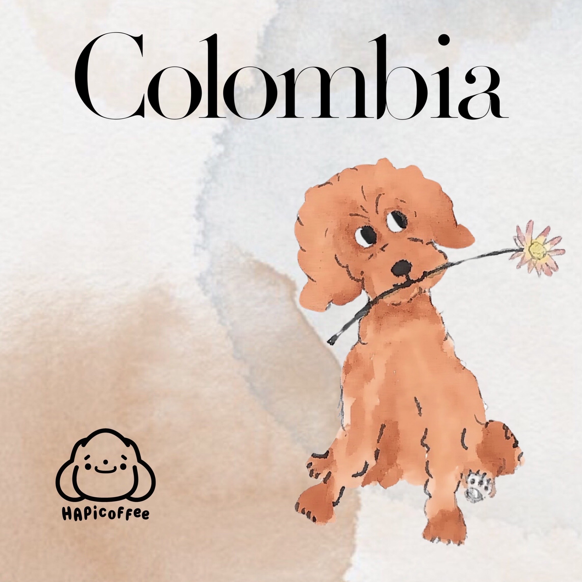 01/02 Colombia Tumbaga Sugarcane Decaf RFA