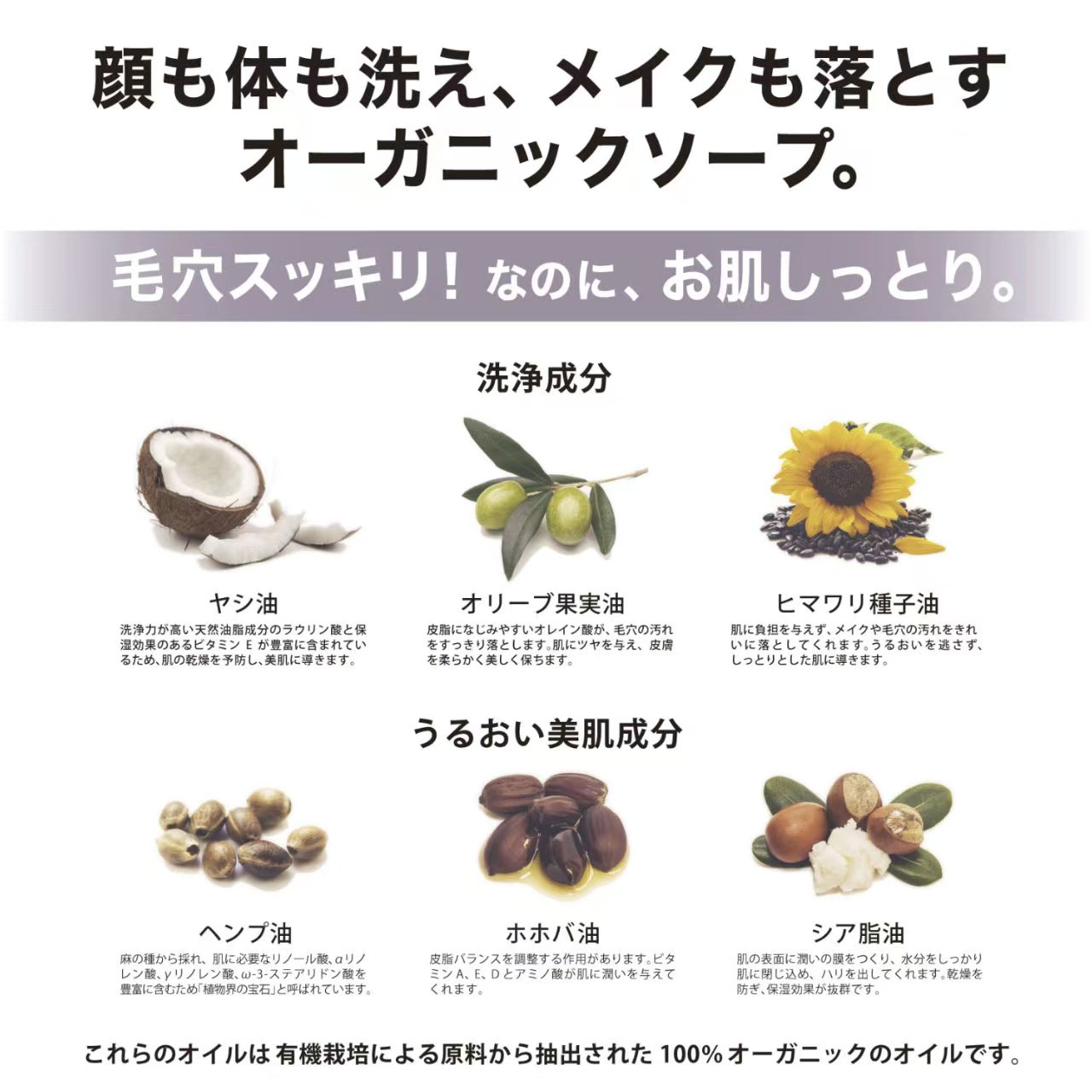 【日本直送】The Perfect Anchor 純天然全效潔膚露 944ml | 洗面卸妝沐浴三合一 