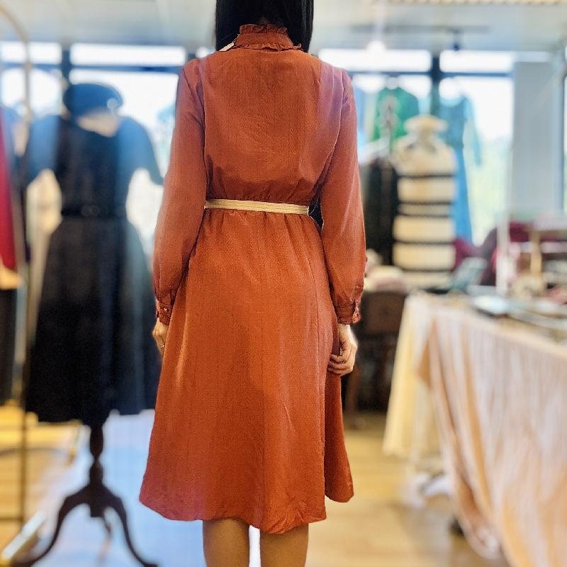 Vintage Dotted and Glittering Fabric Redish Brown Day and Night Dress With Ruffle Collar (PP001-22)