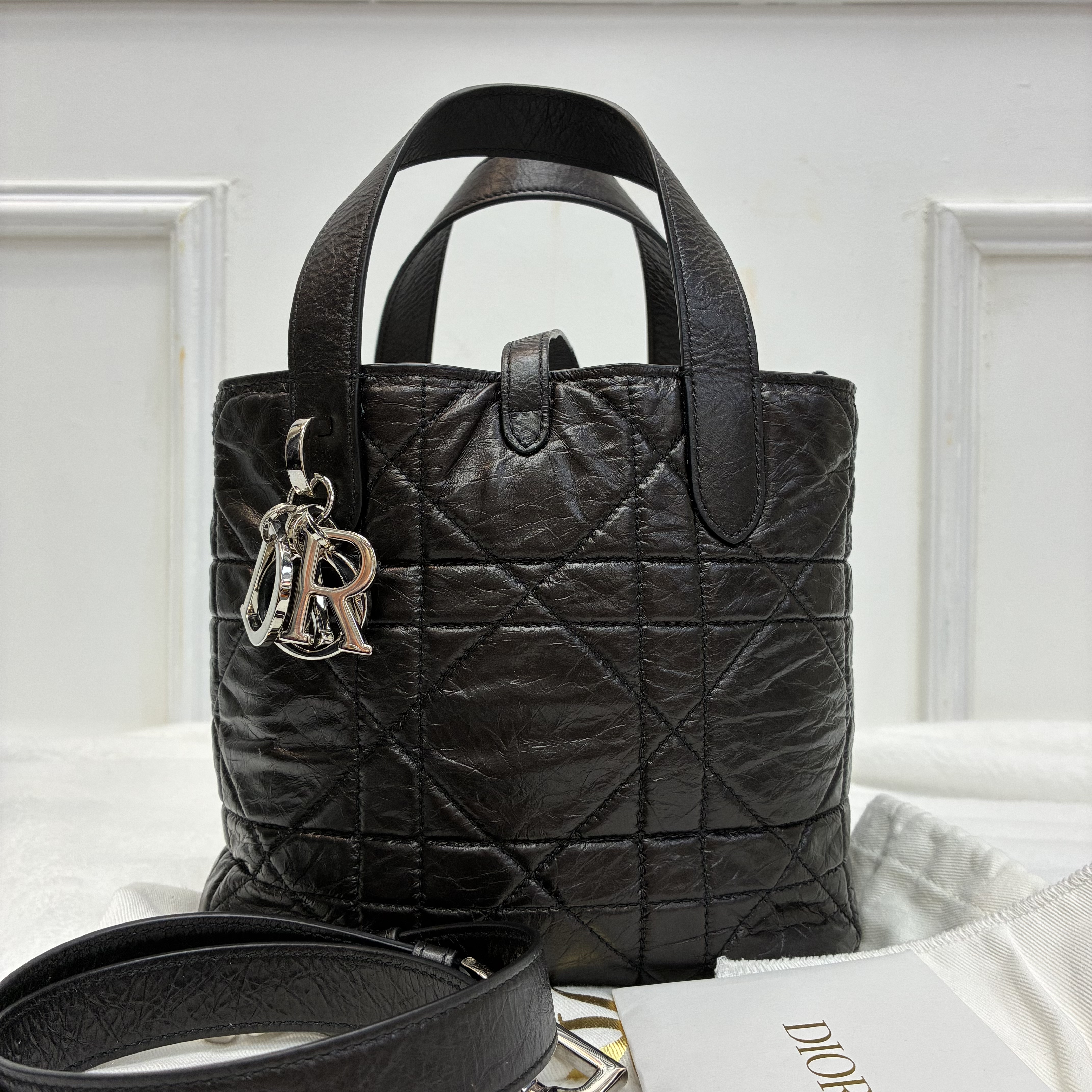 Dior toujours 小號土著包 直向toujours黑色