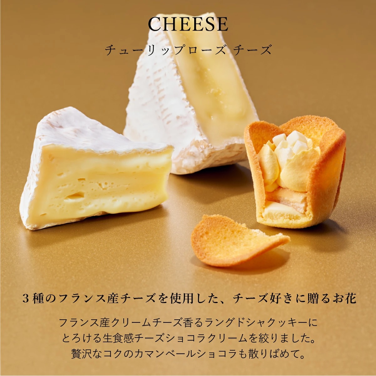 TULIP ROSE チューリップローズ in season　15袋入 - 01260330