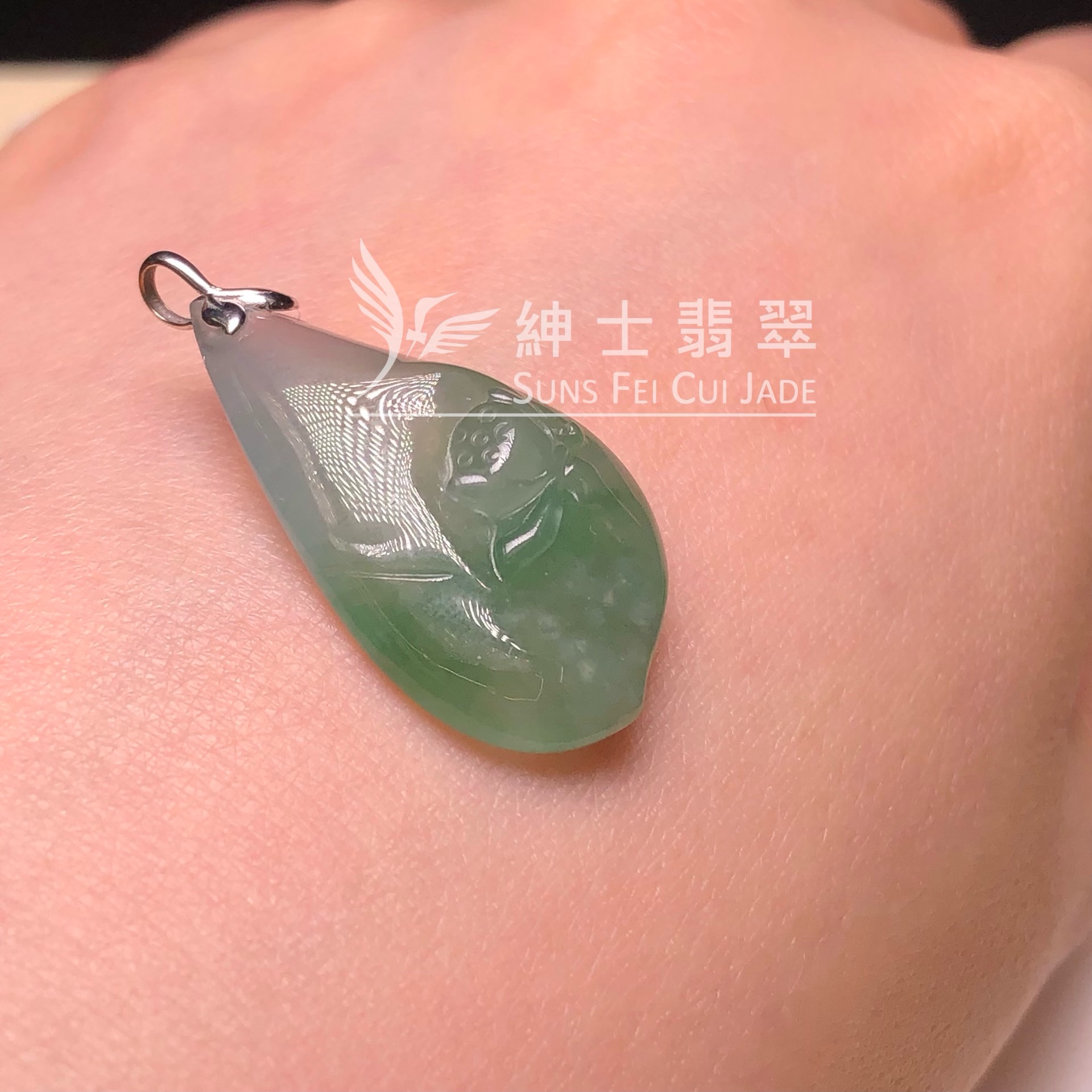 YK01056 老油青玉蓮