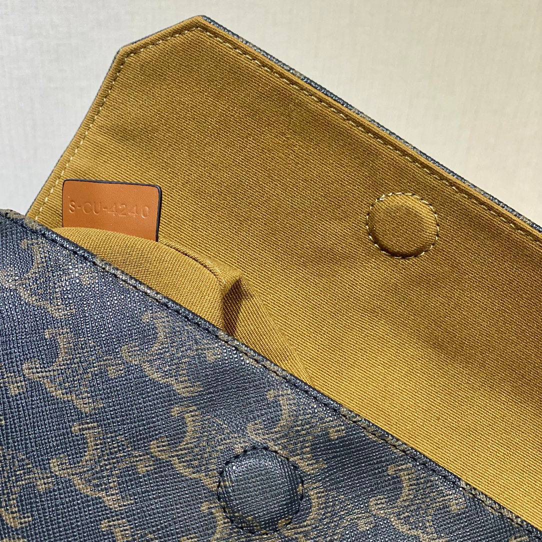 🔥大货实拍图 𝗖𝗘𝗟𝗜𝗡𝗘 ♥ 𝗧𝗥𝗜𝗢𝗠𝗣𝗛𝗘 𝗖𝗔𝗡𝗩𝗔𝗦 三角形手袋 𝑪𝒆𝒍𝒊𝒏𝒆2021春夏竟出其不意的玩起了异形包，三角形造型很是别致，彰显不羁姿态，男女同款，吸晴选手✔ 型号：195902 尺寸：21*15*4cm