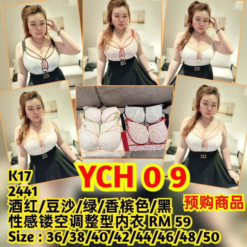 YCH09 2441 性感镂空调整型内衣